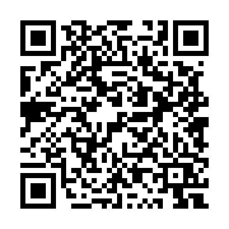 QR code for 1P450SS