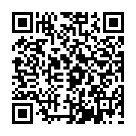QR code for 1P46541