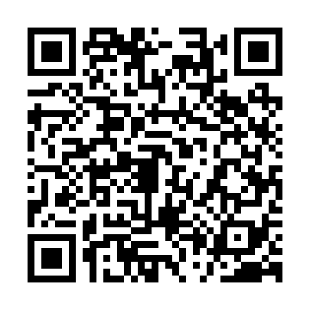 QR code for 1P52794