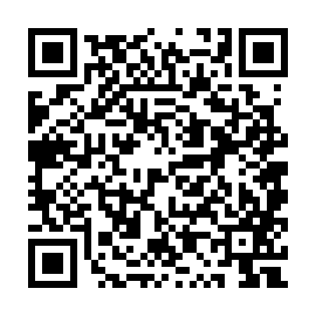 QR code for 1P6387I
