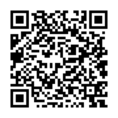 QR code for 1P65311