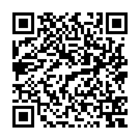QR code for 1P91355