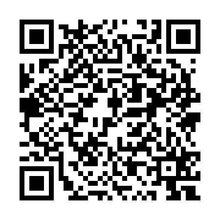 QR code for 1P9225T