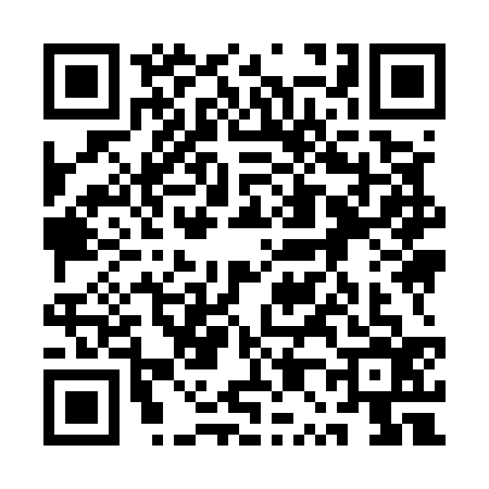 QR code for 1P95369