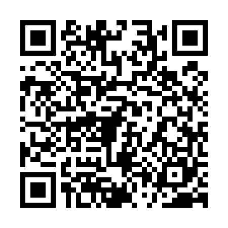 QR code for 1P95650