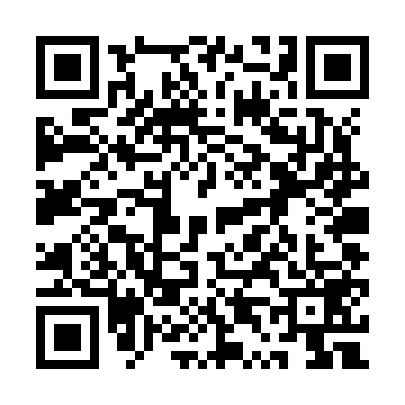 QR code for 1T4Z595