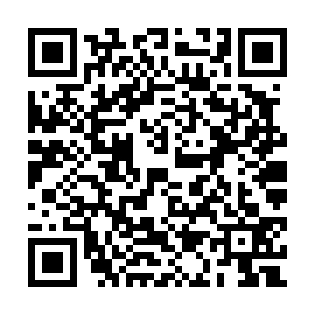 QR code for 2A6T336