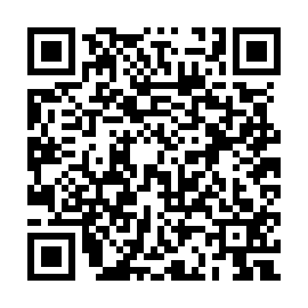 QR code for 2B2O133