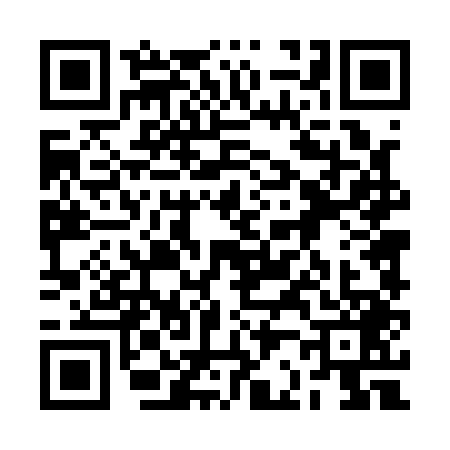 QR code for 2B41493