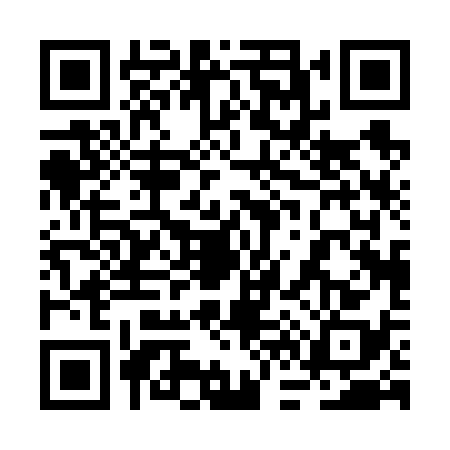 QR code for 2F06383