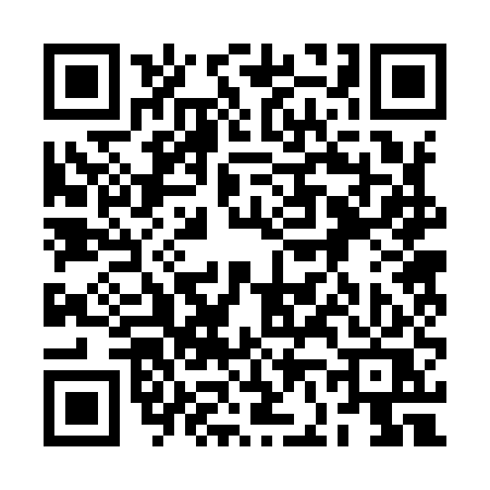 QR code for 2F295SS