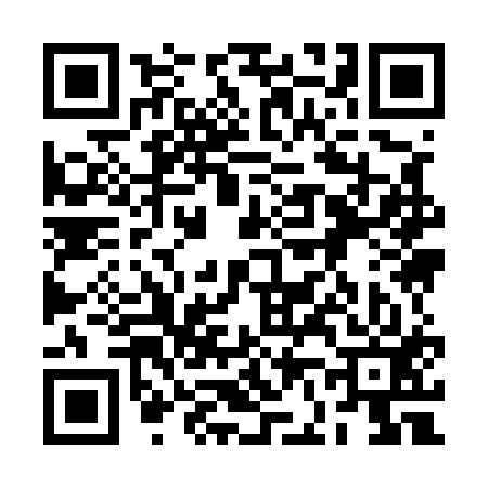 QR code for 2F9513P