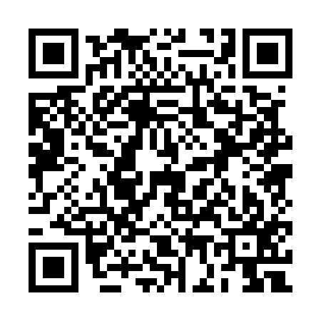 QR code for 2G0517I
