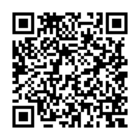QR code for 2G0806Q
