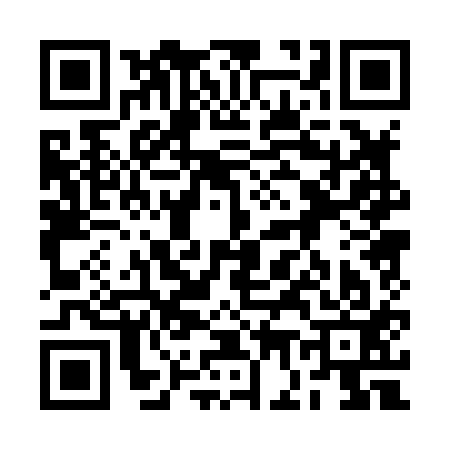 QR code for 2G0813N