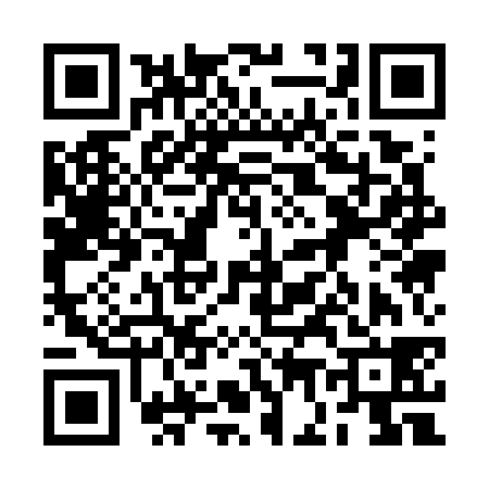 QR code for 2G1738C