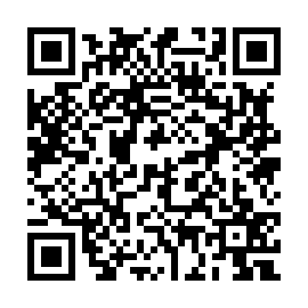 QR code for 2G18377