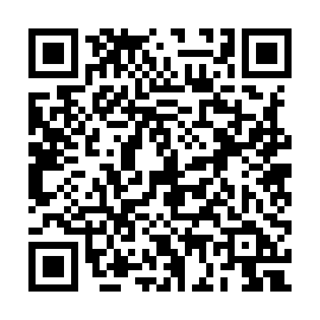 QR code for 2G290DP