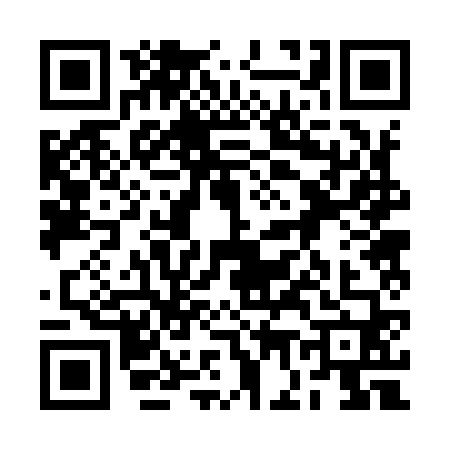 QR code for 2G29606