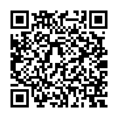 QR code for 2G2P863