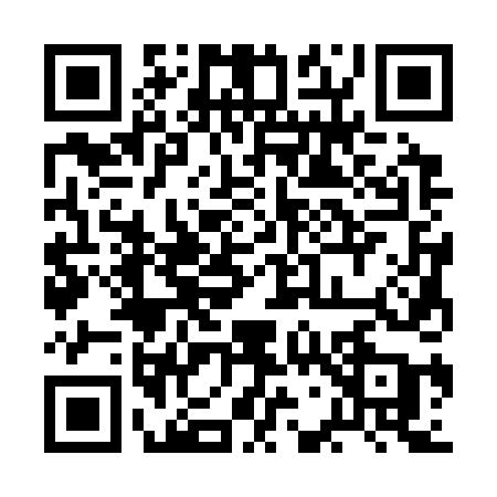 QR code for 2G334AP