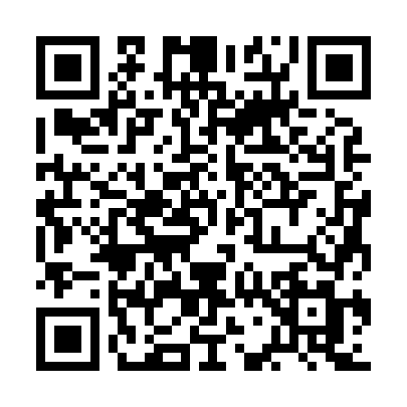 QR code for 2G387MP