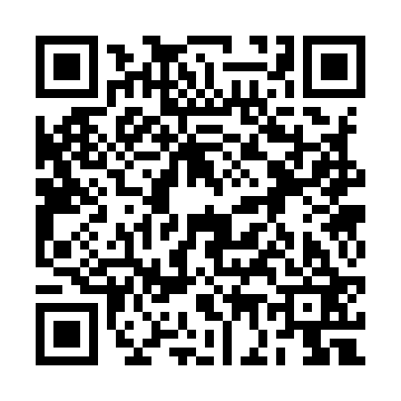 QR code for 2G3923H