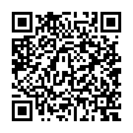 QR code for 2G4117I