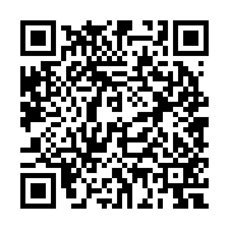 QR code for 2G4253G