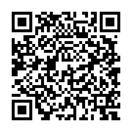 QR code for 2G4411C