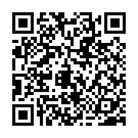 QR code for 2G51291