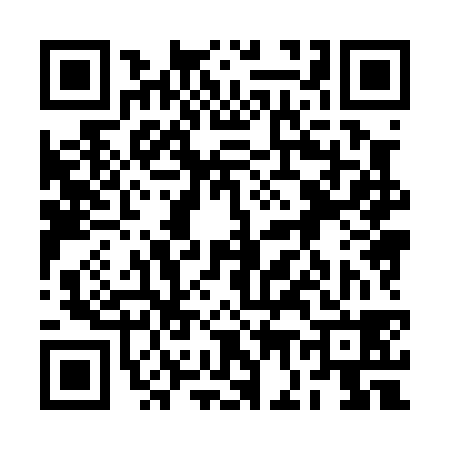 QR code for 2G8038Q