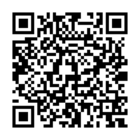 QR code for 2G8Z605