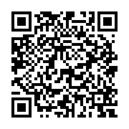 QR code for 2G9206X