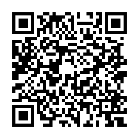 QR code for 2G95498