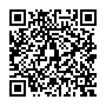 QR code for 2G9565A