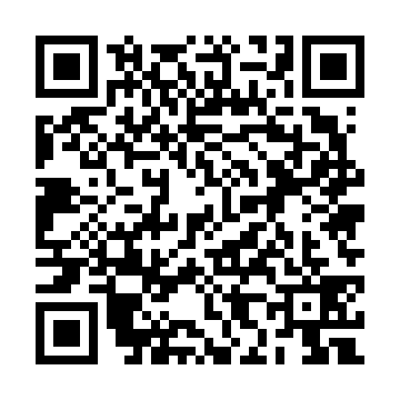QR code for 2H56393
