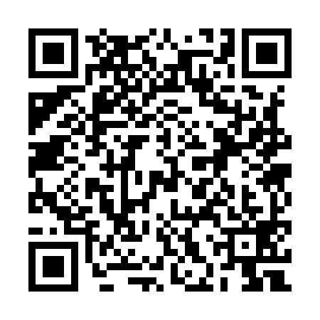 QR code for 2HS9994