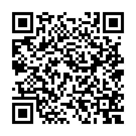 QR code for 2L11049