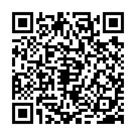 QR code for 2L16993