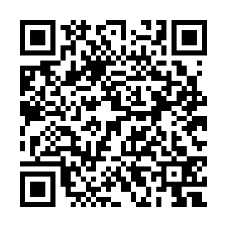 QR code for 2L5C333