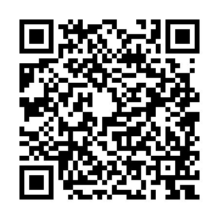QR code for 2O0383I