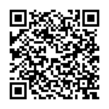 QR code for 2O0O063