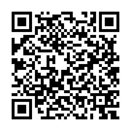 QR code for 2O28736
