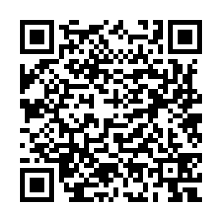 QR code for 2O29397