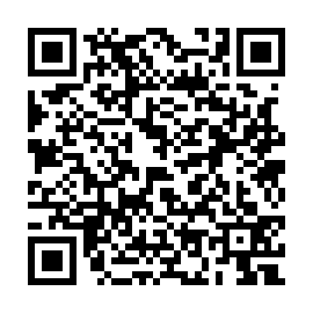QR code for 2O31334