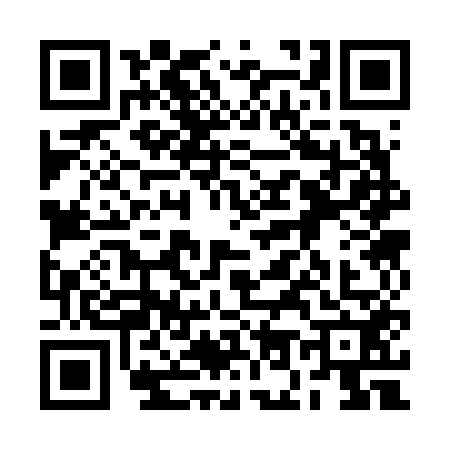 QR code for 2O36529
