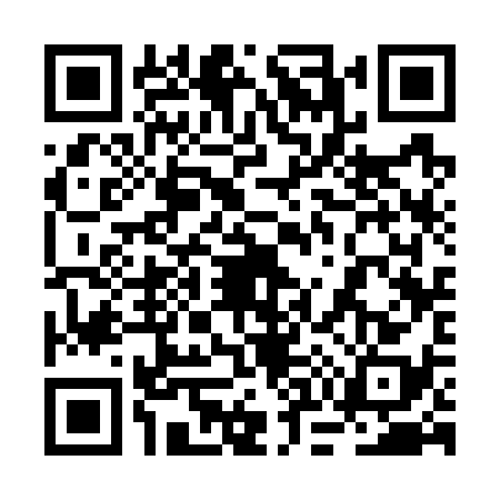 QR code for 2O37381