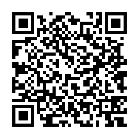QR code for 2O45389