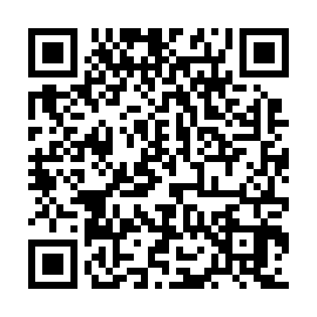 QR code for 2O4B038